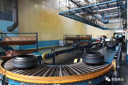 俄羅斯最大輪胎廠